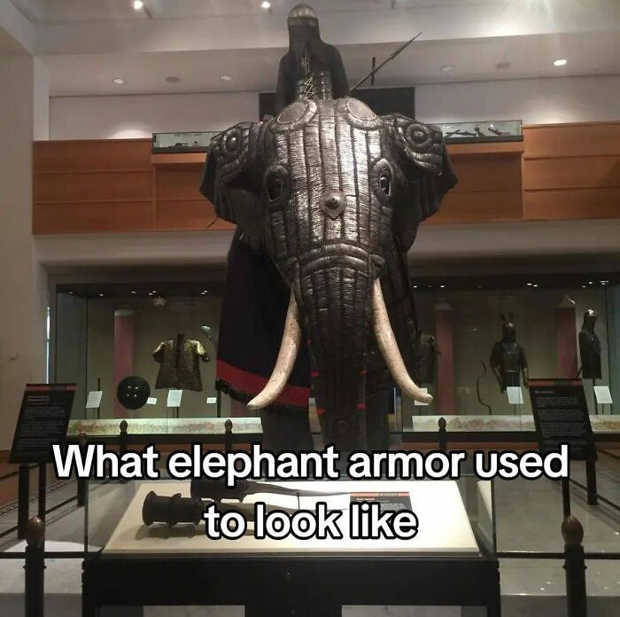 Elephant armor exhibit showing detailed metal protection, highlighting craftsmanship inside Big Ben-related collections.