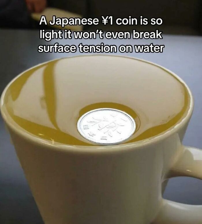 A Japanese ¥1 coin floating on water surface tension inside a cup, illustrating interesting facts about the inside of Big Ben.