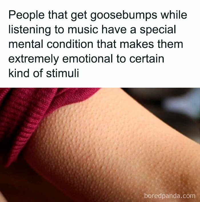 close-up of goosebumps on skin illustrating an interesting fact about emotional response to music stimuli