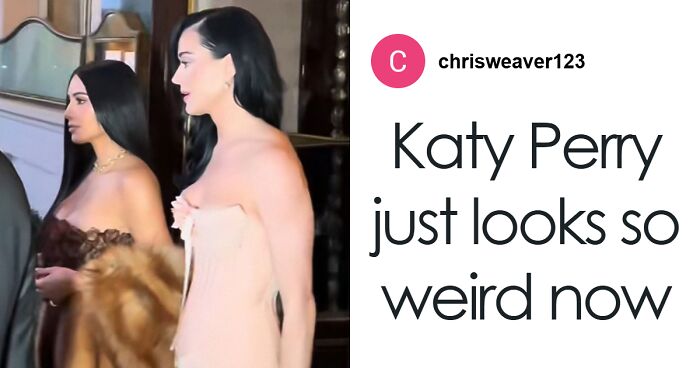 Amid Blue Origin Backlash And Tour Blunders, Katy Perry Is Slammed Again Over Celebrity Dinner