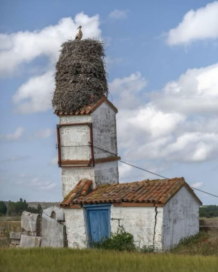 Large bird nest on top of old rustic building chimney in nature, capturing breathtaking natural beauty in a rural landscape.