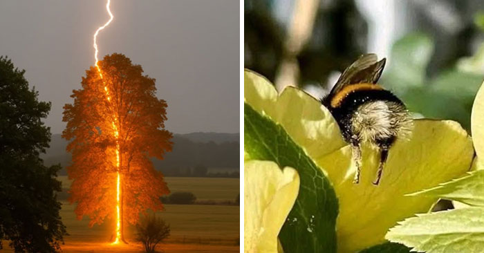 40 Glimpses Of Nature So Perfect, You May End Up Feeling Like You’ve Been Let In On A Secret