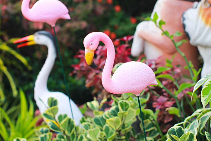 Pink flamingos decorating a garden with green plants and colorful foliage in a playful outdoor setting.