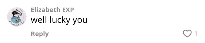 Comment reading well lucky you on a social media post related to Meghan Markle's note to flight attendant going viral.