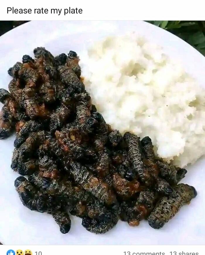Plate of burnt caterpillars served with white rice, an example of cursed food pics that may need a trigger warning.