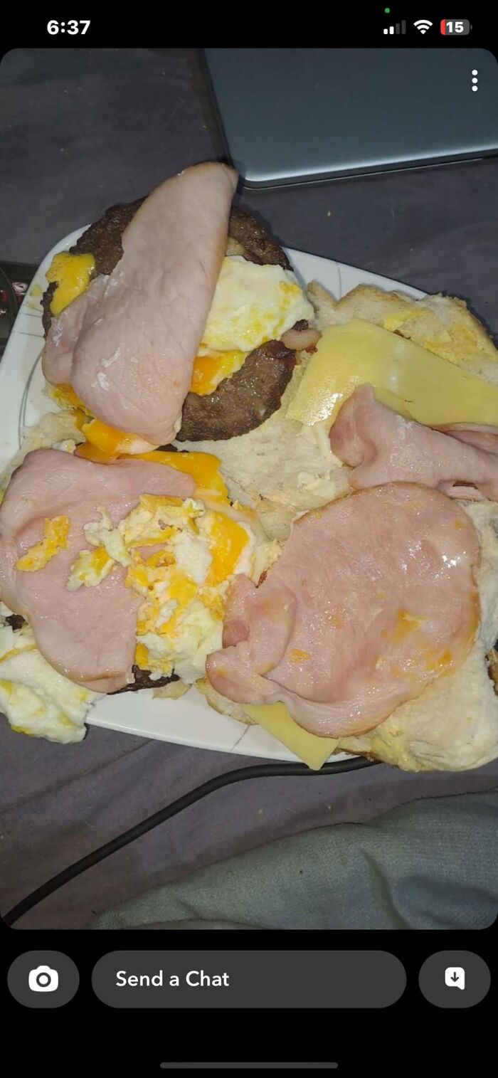 Cursed food pic showing an unappetizing sandwich with unevenly placed ham, egg, cheese, and burger patties on a plate.