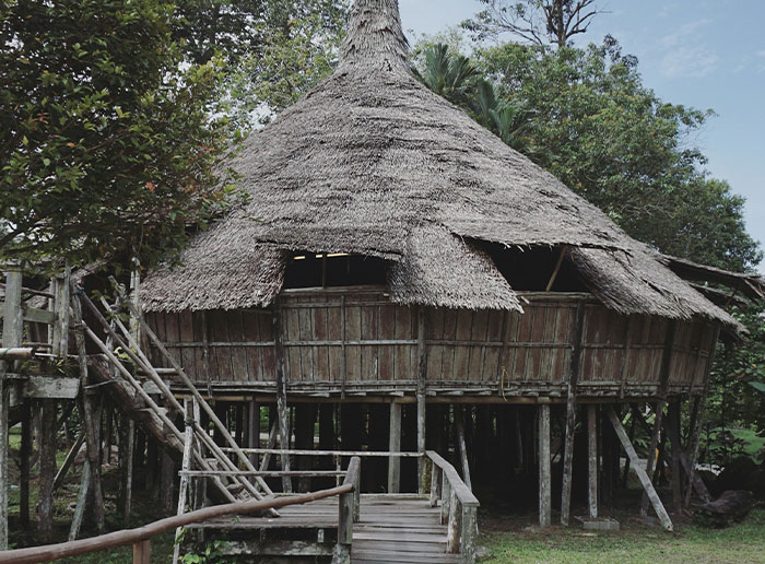 Traditional wooden hut with thatched roof surrounded by trees, illustrating funny things foreigners say about the United States.