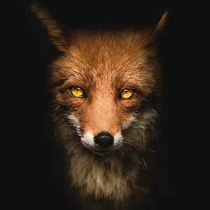 checkyourfacts00 avatar