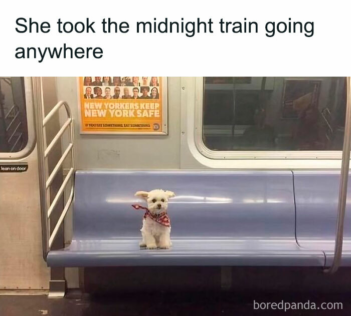Small dog wearing a bandana sitting alone on a subway bench, a cute dog meme in public transit setting.