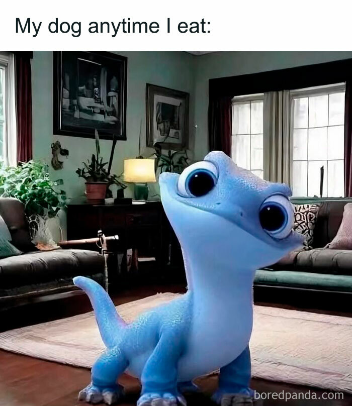 Cute animated lizard with big eyes in living room illustrating dog memes to hug your pupper immediately.