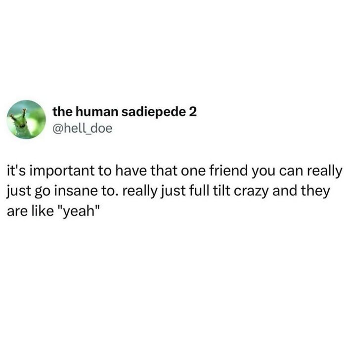 Screenshot of a tweet about the importance of having a friend to go full tilt crazy with for a serotonin boost.