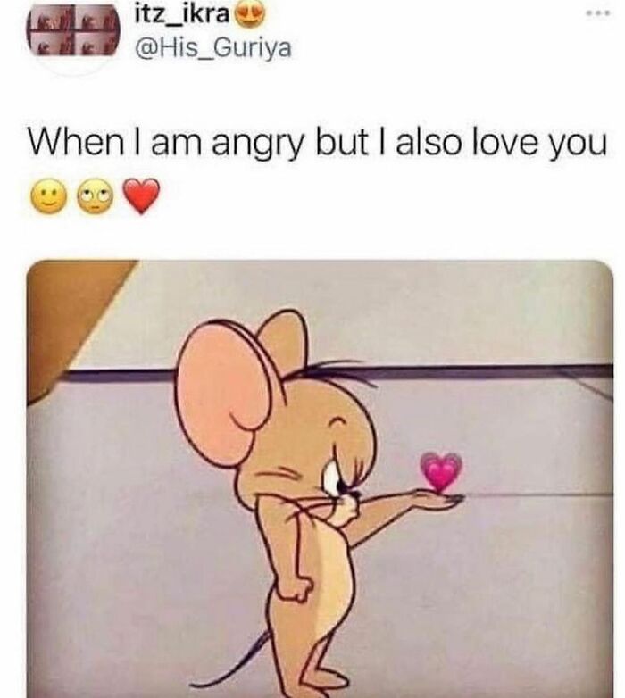 Cartoon mouse holding a heart, expressing mixed emotions, a relatable serotonin boost moment from an Instagram page.