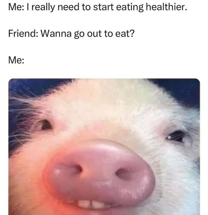 Close-up of a pig’s face with a humorous expression, perfect for a daily serotonin boost from an IG page.