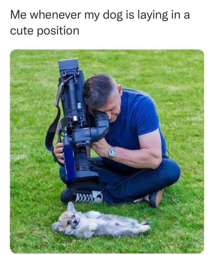 Man filming a small dog lying on grass, capturing adorable moments for doggo memes and wholesome pupper content.