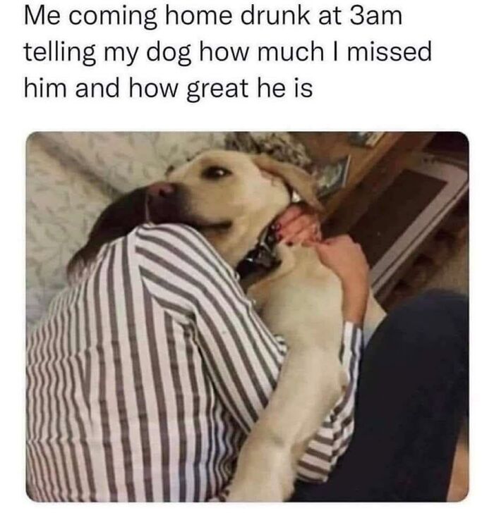 Person hugging a happy dog in a striped shirt, capturing the wholesome connection found in doggo memes and pupper content.