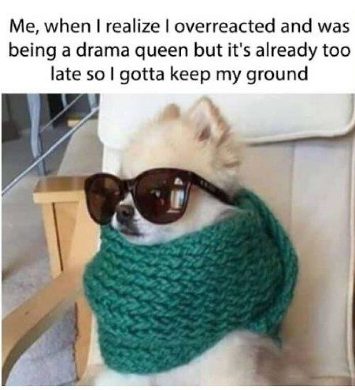Small dog wearing sunglasses and a green scarf looking calm in a wholesome doggo memes style pupper content.