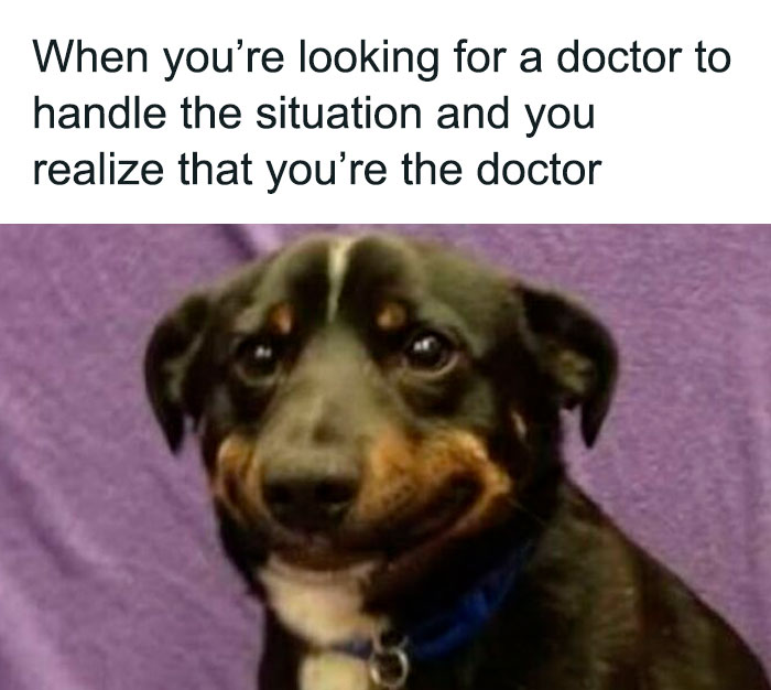 Smiling dog meme with text about realizing you are the doctor, highlighting medical school memes for future doctors.