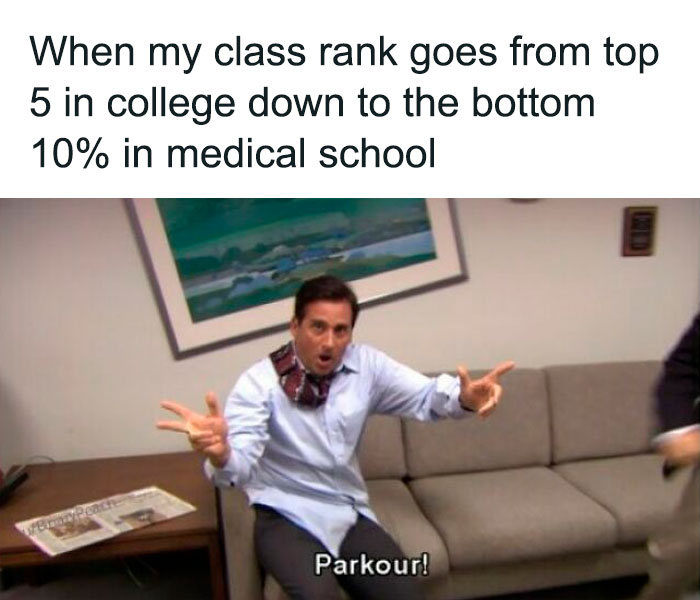 Man in a shirt enthusiastically posing on a couch with the caption about medical school rank struggles and parkour meme.