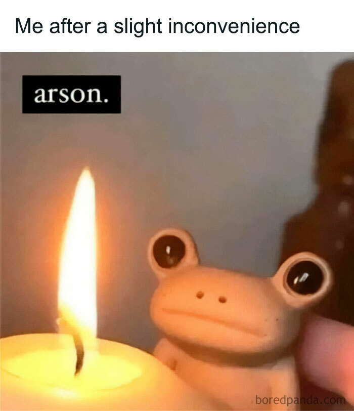 Relatable meme showing a frog figurine staring at a candle flame with the caption about slight inconvenience and arson.