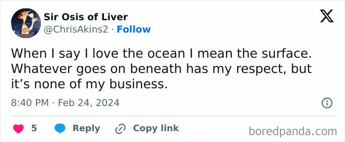 Tweet about loving the ocean surface with respect for what lies beneath, featured in random memes collection.