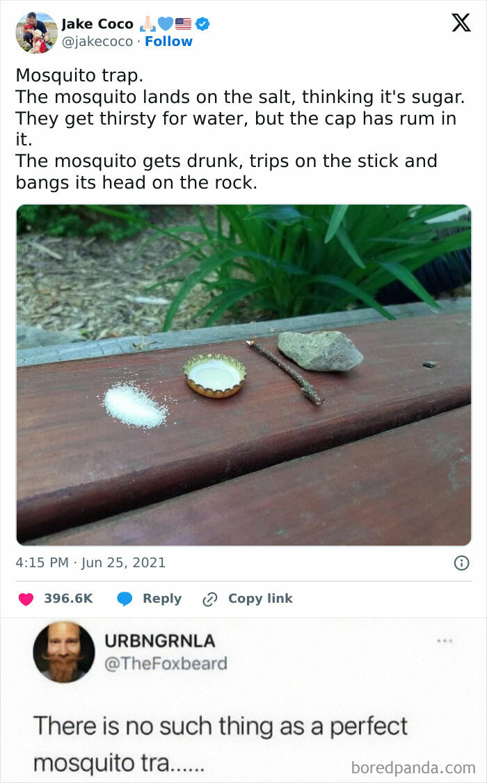 Meme describing a mosquito attracted to salt instead of sugar, humorously illustrating random absurd memes.