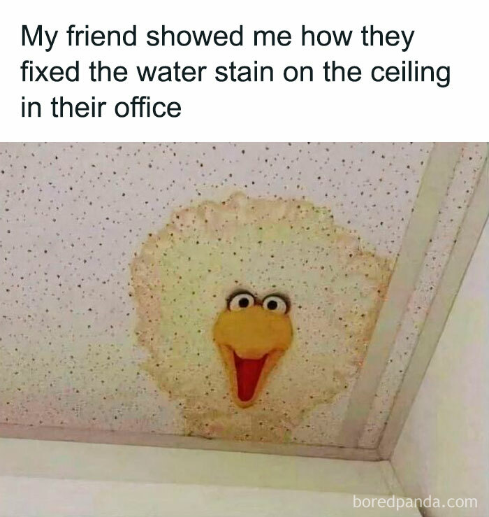 Water stain on office ceiling creatively transformed into a Big Bird face by wholesome vandals improving the streets.