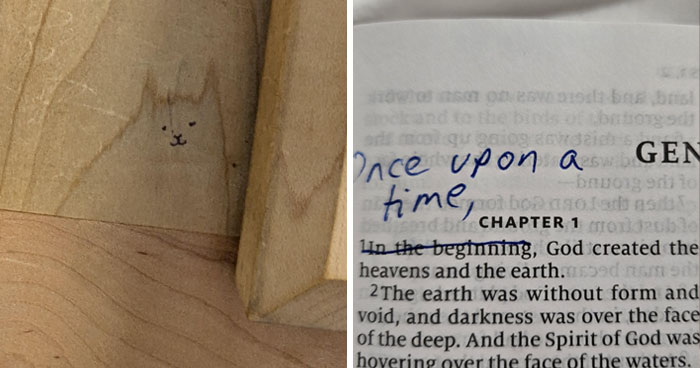 50 Pics Of Mild Vandalism That People Cheered For In This Dedicated Online Group (New Pics)