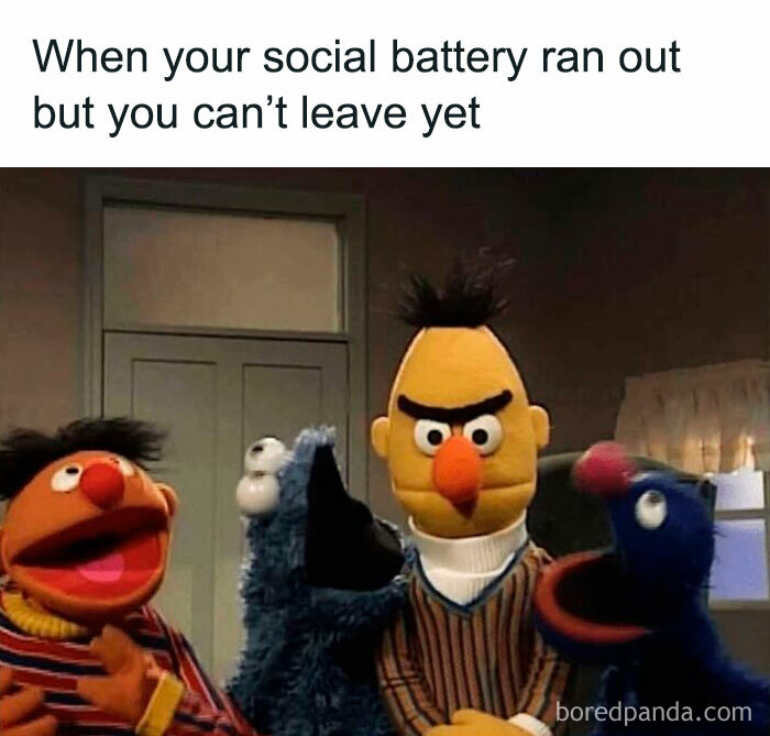 Meme showing tired Bert with other Sesame Street characters, humorously relating to funny pics about mental breakdowns.