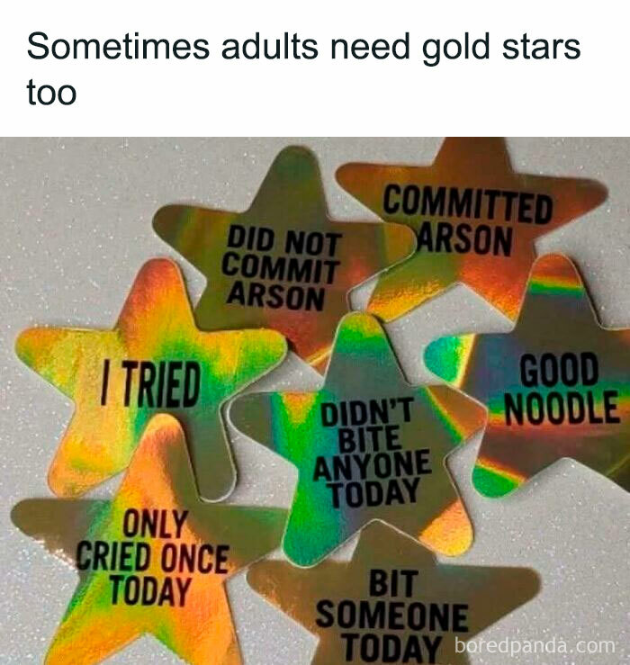 Holographic gold star stickers with funny adult achievements, perfect for scrolling funny pics during mental breakdowns.