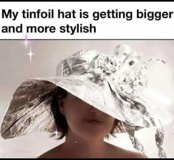 Person wearing a large, stylish tinfoil hat with text about the hat growing bigger in a vegan meme context.