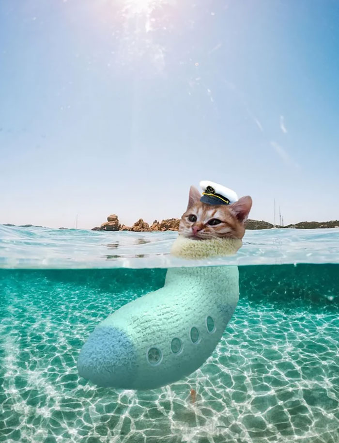 Cat with a captain hat photoshopped as a submarine underwater showing hilarious Photoshop skills in a sunny sea setting