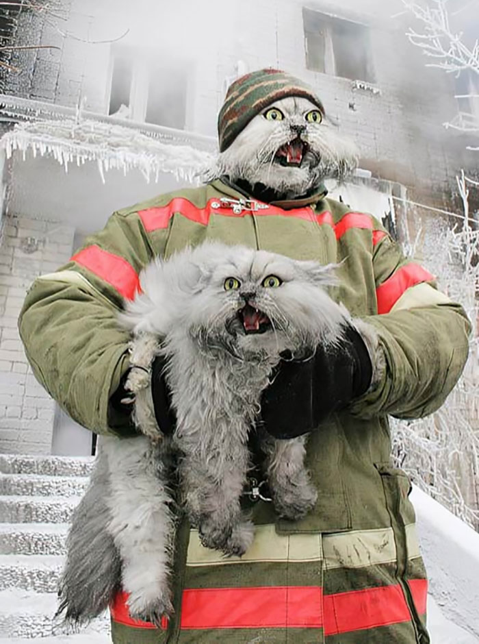 Firefighter with a cat face holding a fluffy cat with a matching human face, showcasing hilarious Photoshop skills.