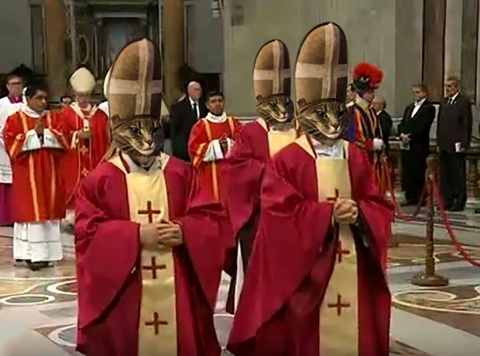Three people with cat faces edited onto religious figures in red robes, showcasing hilarious Photoshop skills.