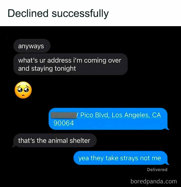 Text message meme showing a funny and spicy exchange about visiting an address that turns out to be an animal shelter.