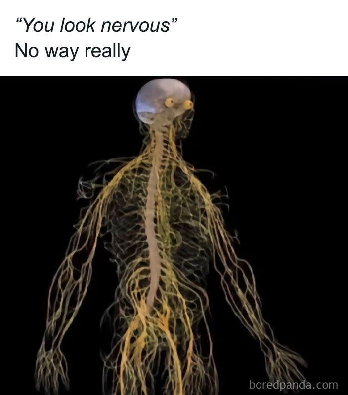 Nervous skeleton meme with glowing nerves and humorous caption from chaotic memes for when life gets boring.