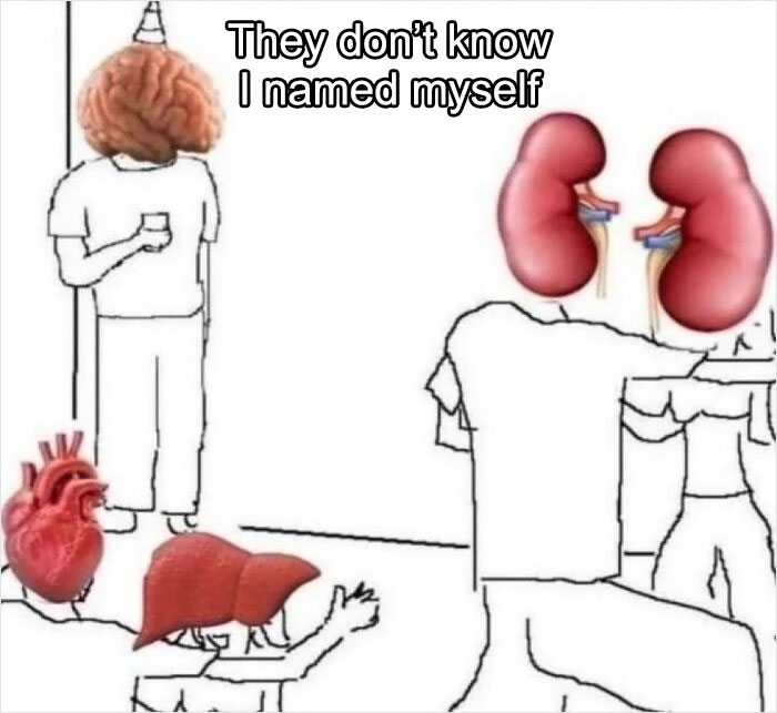 Illustration of organs with human bodies in a chaotic meme style, highlighting brain, heart, liver, and kidneys humor.