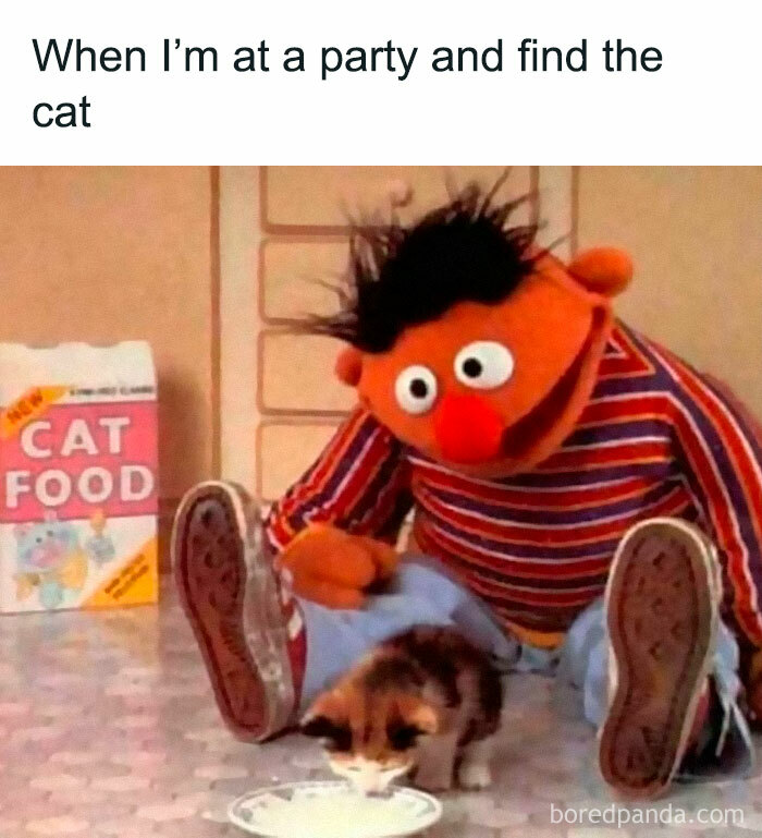 Meme of Ernie watching a kitten drink milk, relatable memes for days to help avoid responsibilities like a pro.
