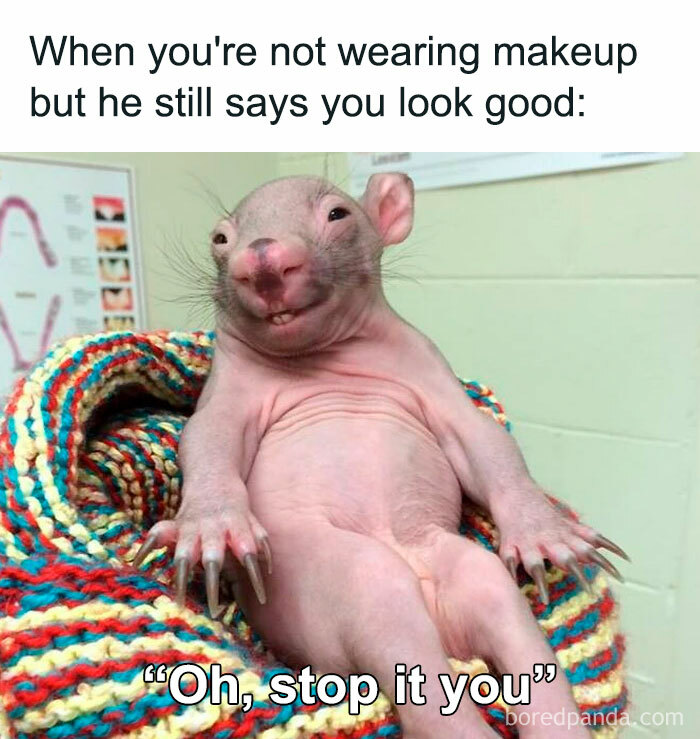 Hairless animal reclining on colorful blanket with caption about not wearing makeup, relatable memes for days avoiding responsibilities.