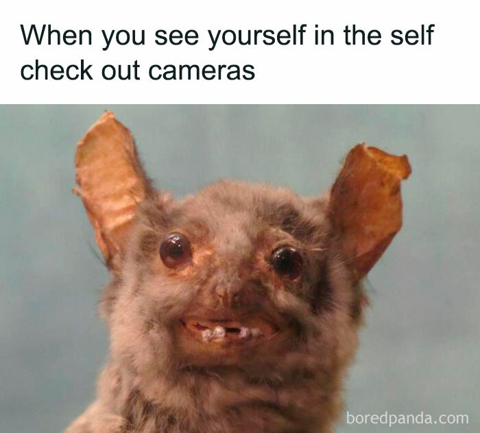Relatable meme featuring a funny bat face captioned about seeing yourself on self checkout cameras.