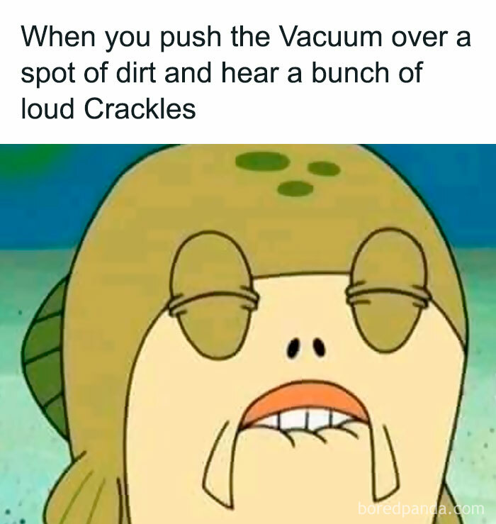 Relatable meme showing a funny character reacting to vacuum sounds, perfect for memes for days about avoiding responsibilities.