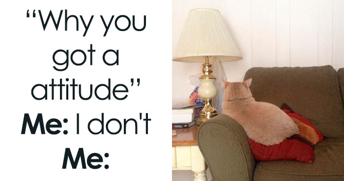 45 Funny Memes That Are So Accurate, It’s Honestly Offensive