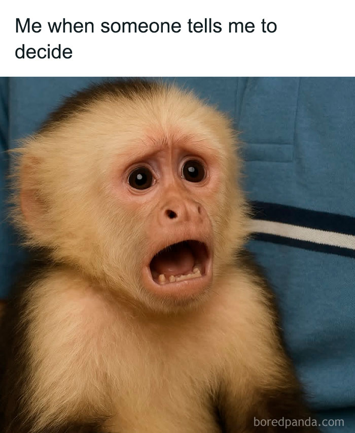 Young monkey with wide eyes and open mouth expressing surprise, a relatable meme with sarcasm vibe.
