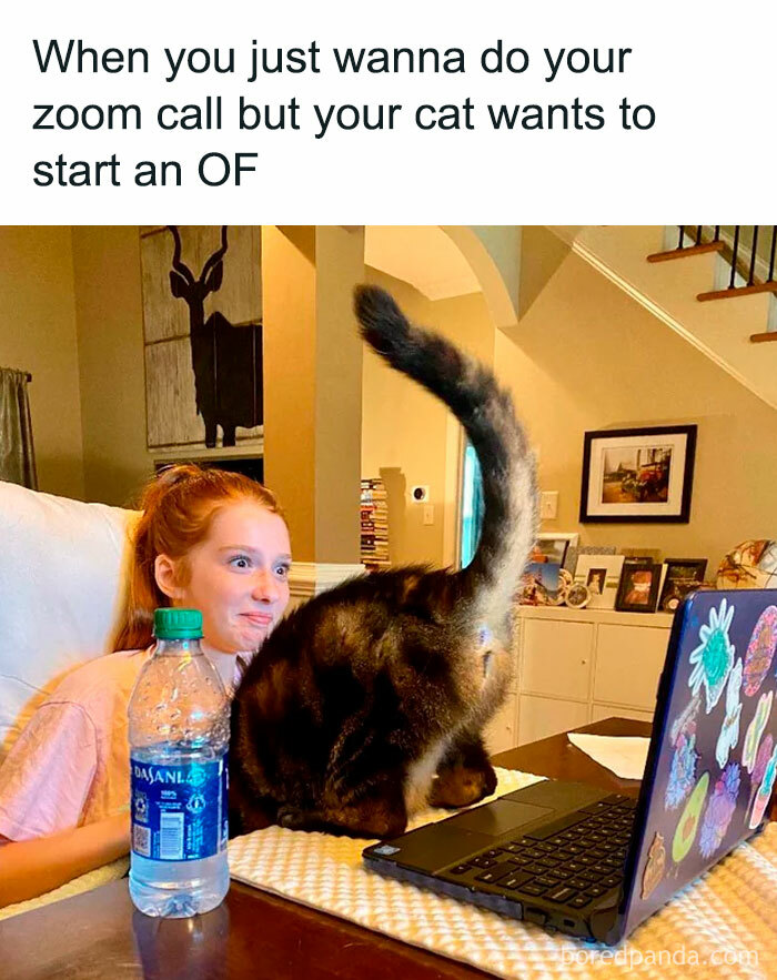 Girl surprised by cat sitting on laptop during Zoom call, capturing hilarious nonsense in a random meme moment.