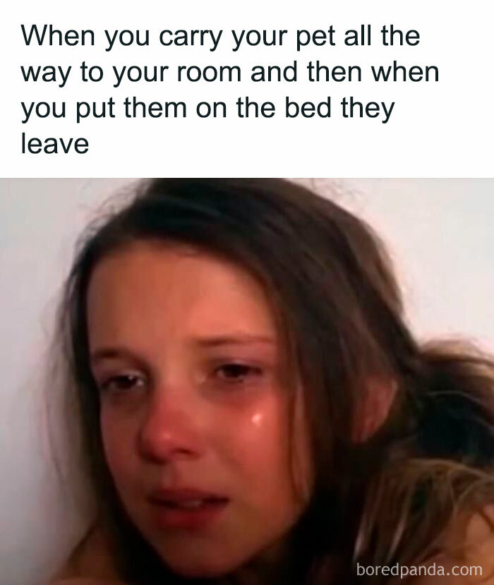 Girl with teary eyes showing disappointment, illustrating a relatable moment in random memes delivering hilarious nonsense.