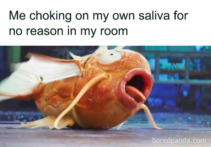 A humorous meme showing a fish with a shocked expression, illustrating hilarious nonsense in random memes.
