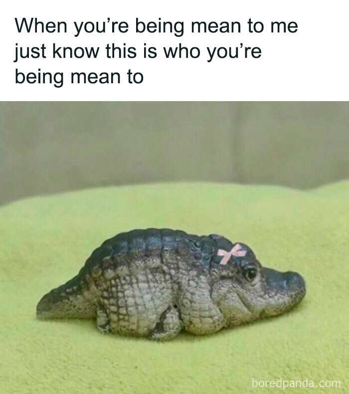 Cute baby alligator lying on a green surface with a pink bow, part of random memes depicting hilarious nonsense moments.