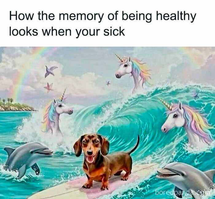 Dachshund surfing with dolphins and unicorns in a colorful ocean scene, showcasing random memes and hilarious nonsense.