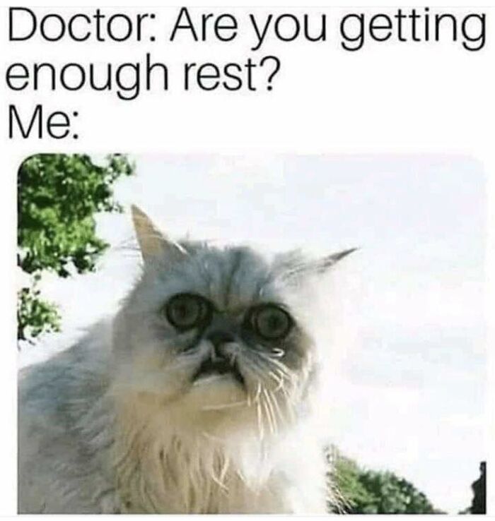 Cat with wide eyes looking tired outdoors, illustrating a random meme from hilarious nonsense meme collection.