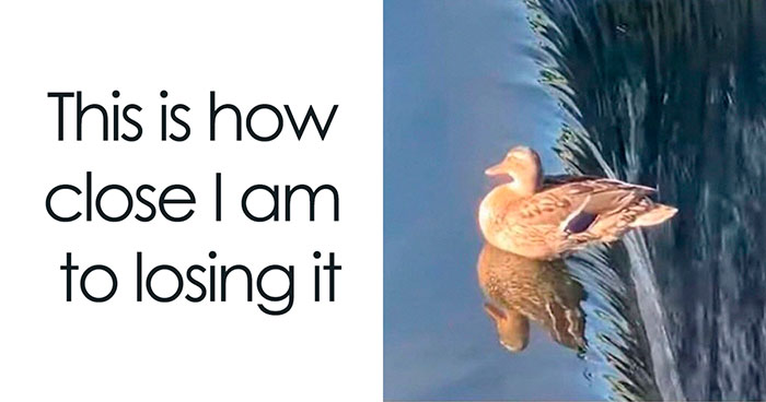 If You Haven’t Had Your Dose Of Memes Today, Here Are 50 Hilarious Posts