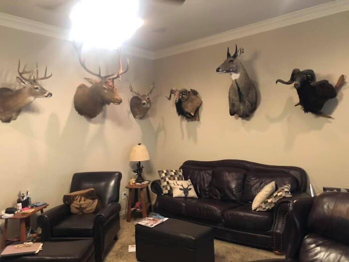Living room with multiple animal head mounts on wall, leather furniture, and clutter, showcasing worst real estate photos ever styles.
